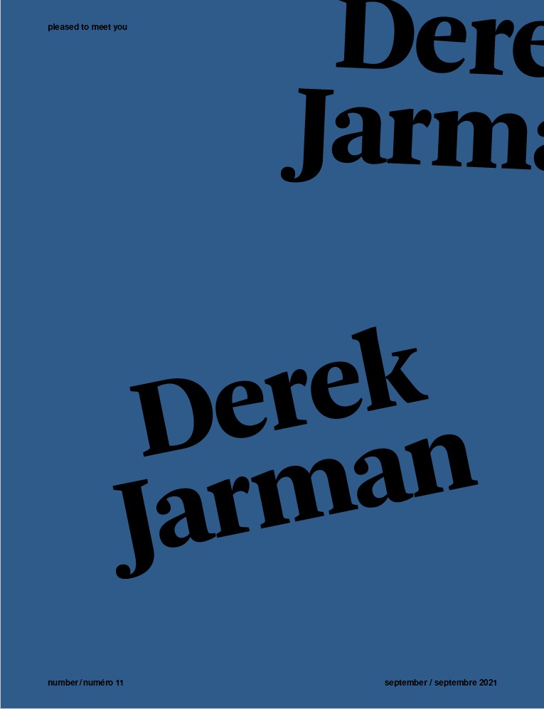 Pleased to meet you #11 - Derek Jarman