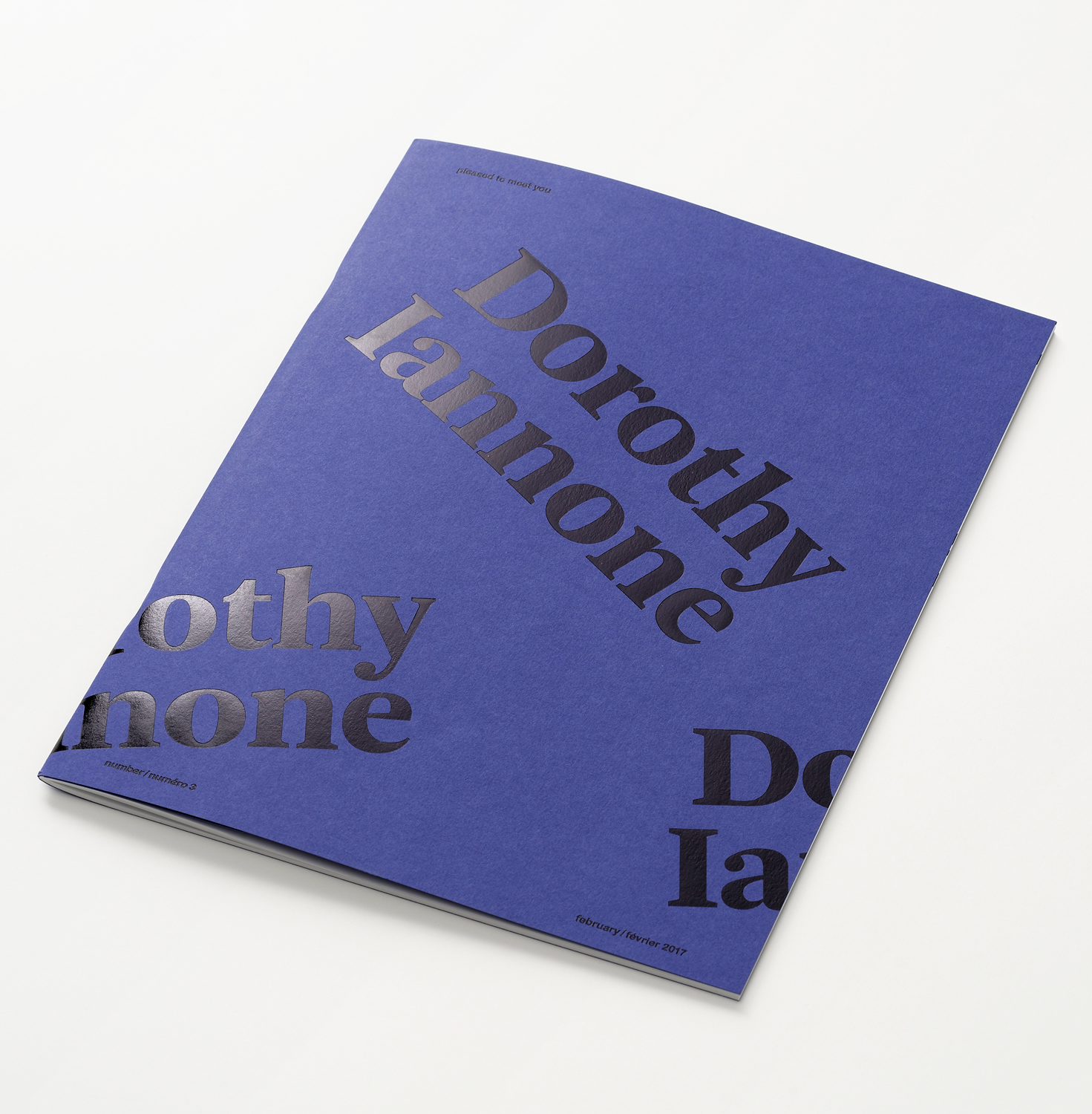 Pleased to meet you #3 - Dorothy Iannone