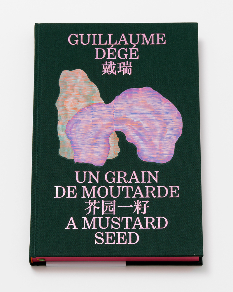 Un grain de moutarde - Guillaume Dégé