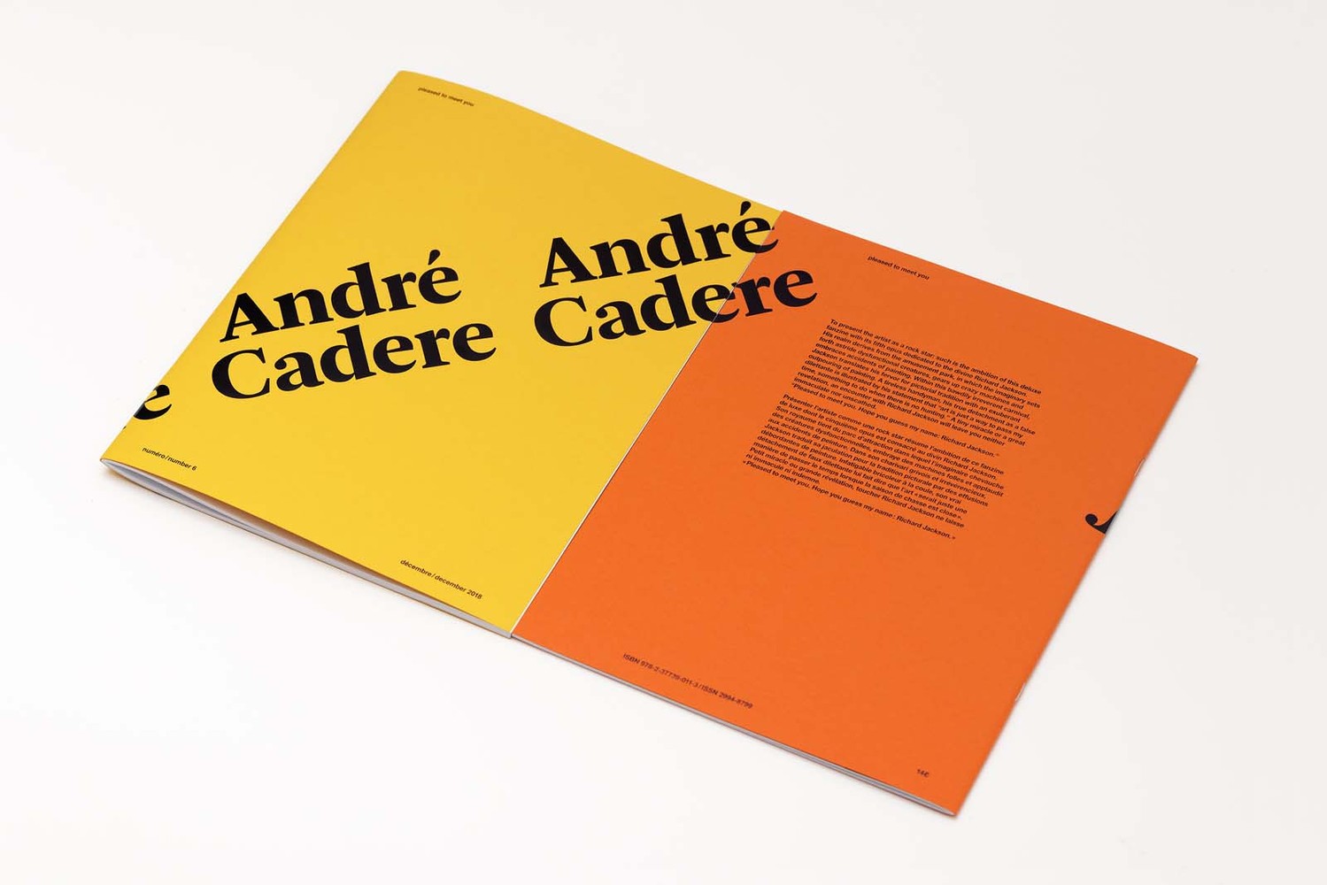 Pleased to meet you #6 - André Cadere