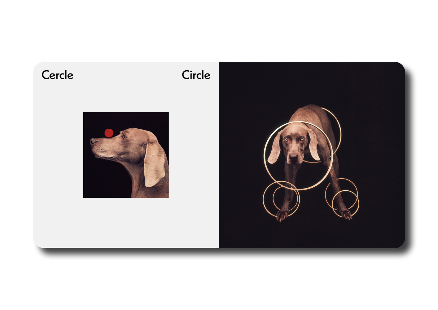 Triangle Carré Cercle - William Wegman