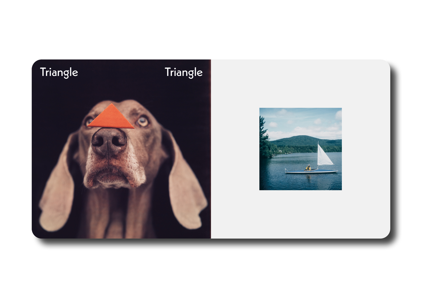 Triangle Carré Cercle - William Wegman